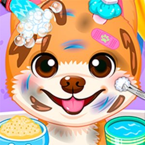 Doc HoneyBerry Puppy Surgery Online Game