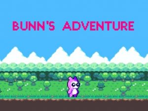 Bunns Adventure Online Arcade Game
