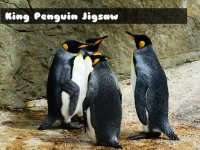 King Penguin Jigsaw Puzzle