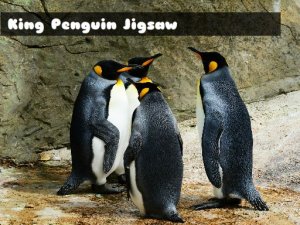 King Penguin Jigsaw Puzzle Game - Free Online Puzzle Game