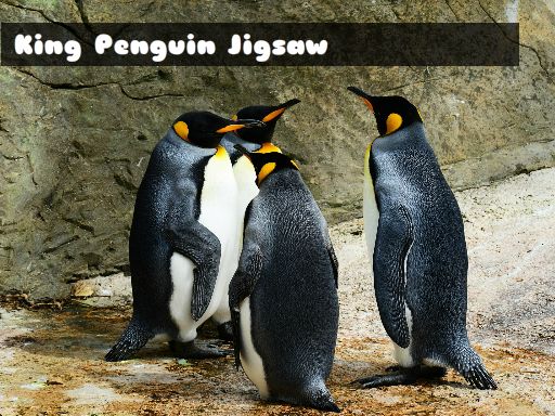 King Penguin Jigsaw Puzzle Game - Free Online Puzzle Game