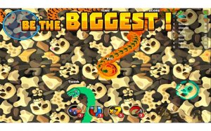 Angry Snake Arcade Game Online - Arcade Game