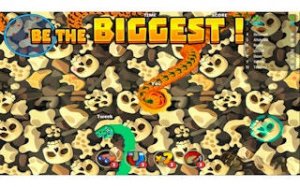 Serpent Chase Arena
