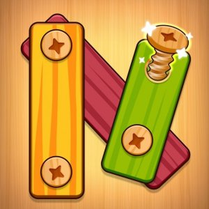Nuts and Bolts: Screwing Puzzle Online Game - Puzzle Game