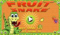 Fruit Snake Online Arcade Game