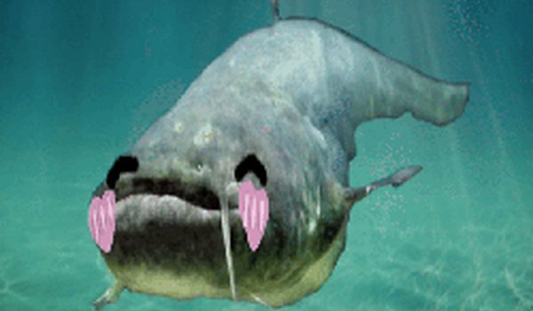 Catfish Clicker Online Game